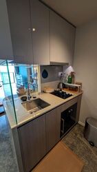 Avenue South Residence (D3), Apartment #498751461